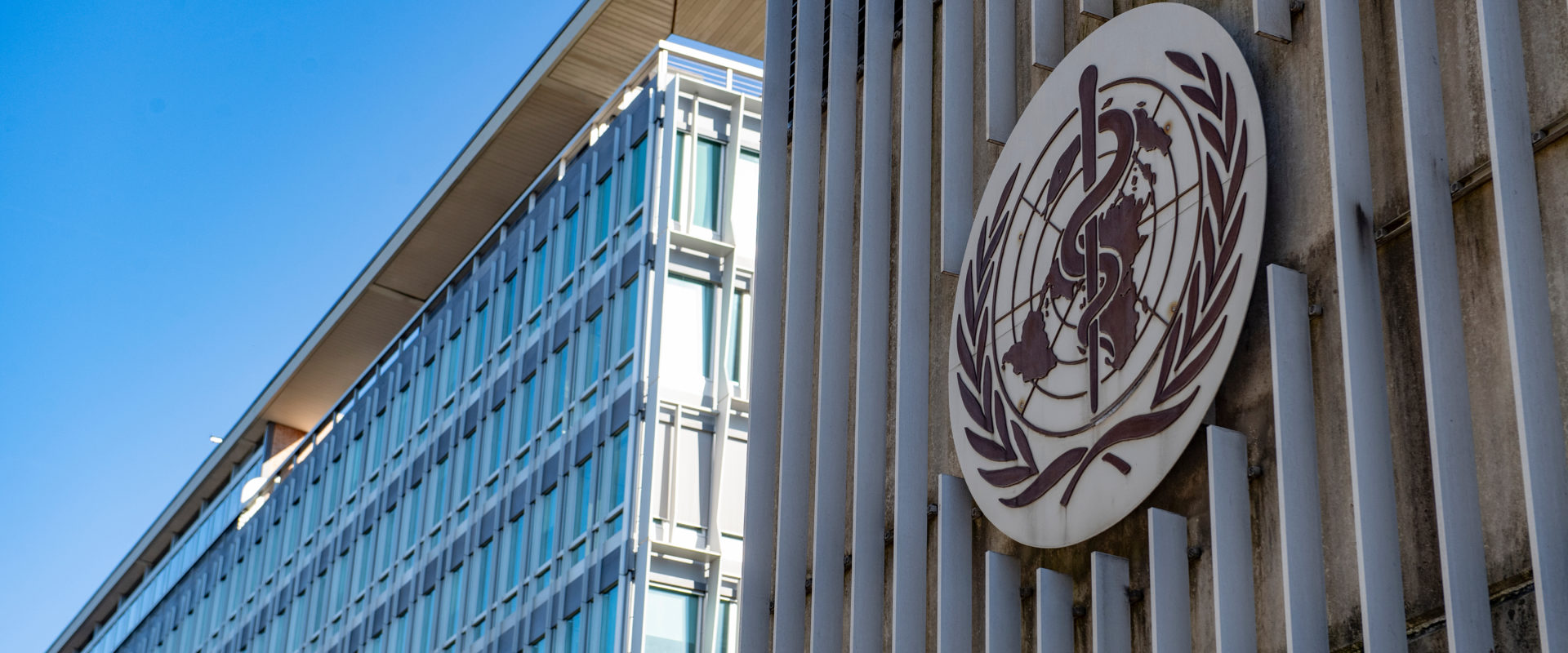 COVID-19 Impact on International Cooperation and Development Policies