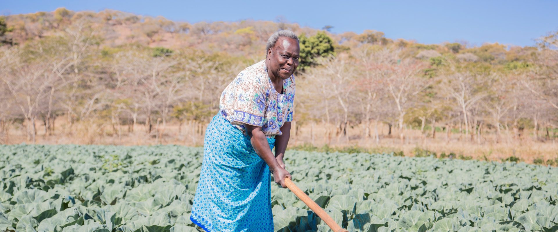 Rural Finance in Zambia