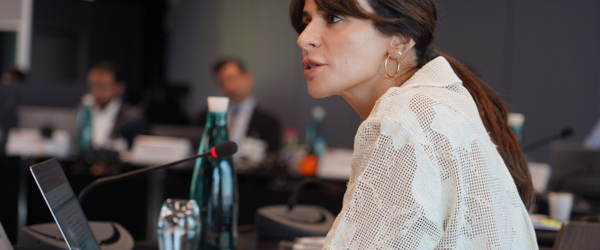 New Executive Master in International Relations