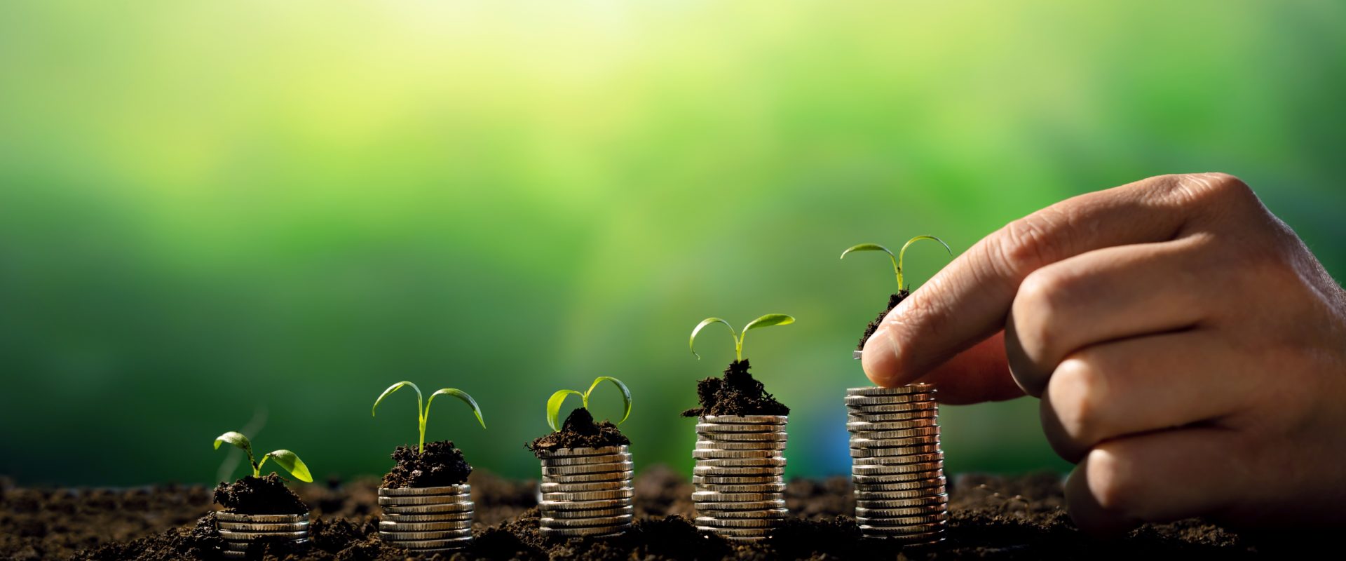 Sustainable Finance to Address Social and Environmental Injustice