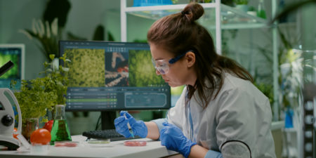 Are alternative proteins an opportunity for food systems?