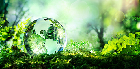 Nature-positive Economy: Drive Social and Economic Transformation for Sustainable Prosperity